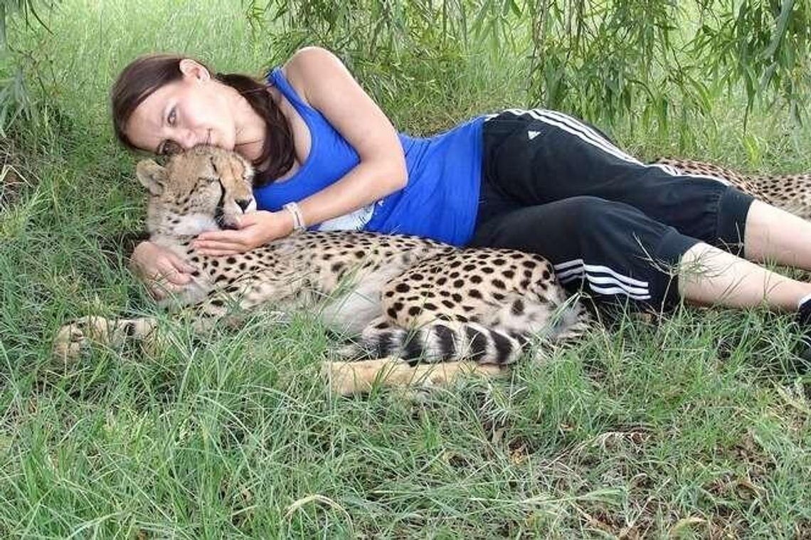 Lampart i nieznany czepiak