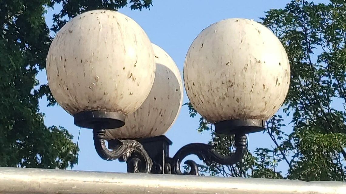 Lampy w centrum miasta brudne od roku. Co na to urzędnicy? Lampy w centrum miasta brudne od roku. Co na to urzędnicy?
