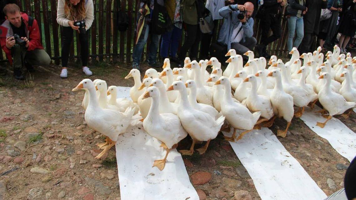 Land Art Festiwal. Czy tegoroczna edycja dojdzie do skutku?
