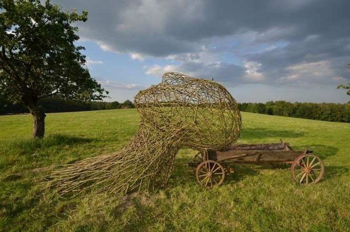 Land Art Festiwal: landarty rozpłaszczą się nad Bugiem