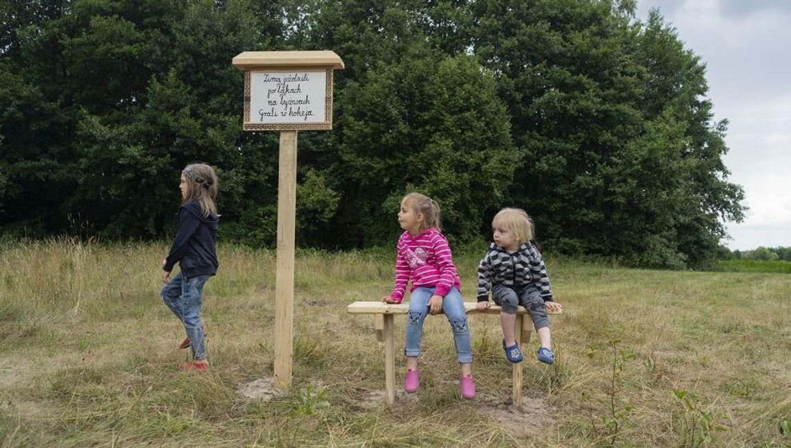 Landart Festiwal 2019. "Taka sztuka w naturze to strzał w dziesiątkę" [ZDJĘCIA]