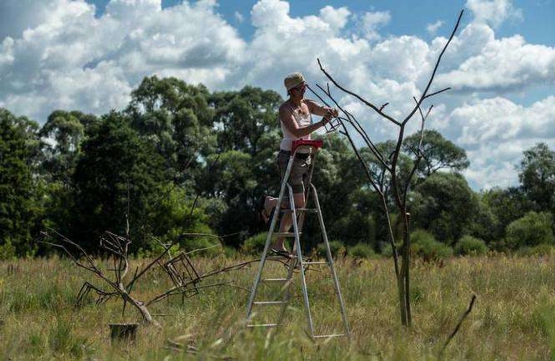 Landarty powstają nad Bugiem Landarty powstają nad Bugiem