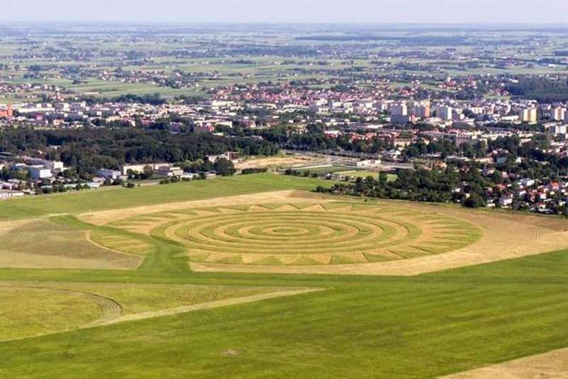 Landarty przy lotnisku. Co można posadzić, żeby nie zaszkodzić susłom?