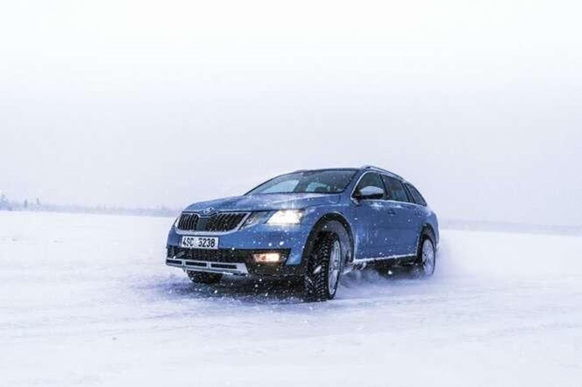 Lapońskie harce Škodami 4x4. Nasz test [wideo]