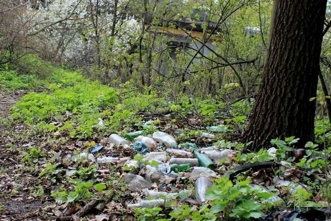 Lasy toną w śmieciach, a sprawców trudno złapać
