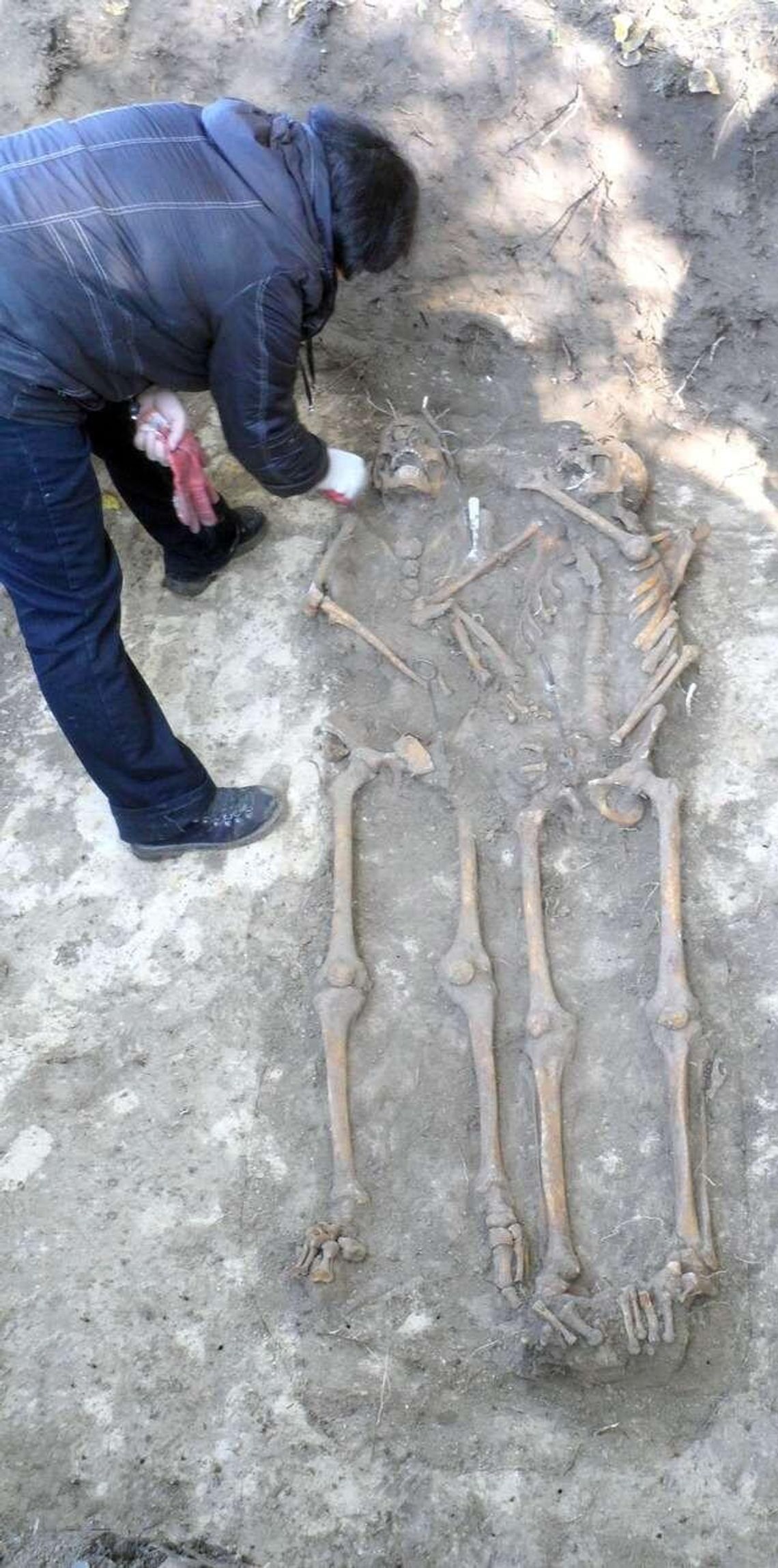 Latami szukała grobu ojca, teraz na drodze stanęli urzędnicy. Nie pozwalają ekshumować