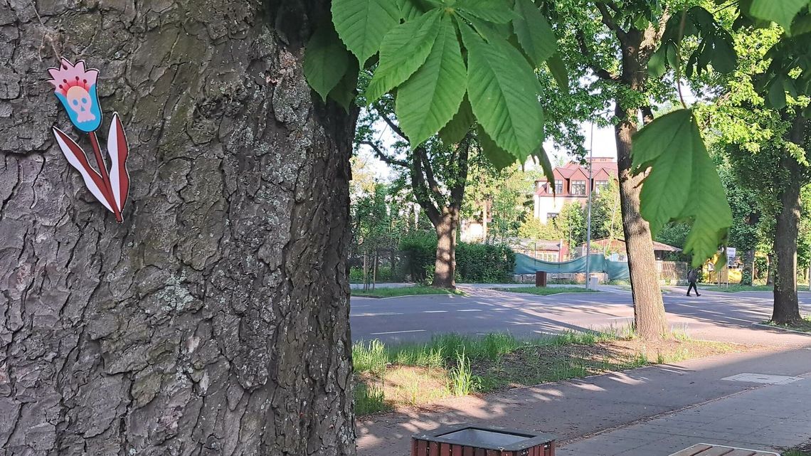 Lato coraz bliżej. Będzie zamojskie, teatralne (program)