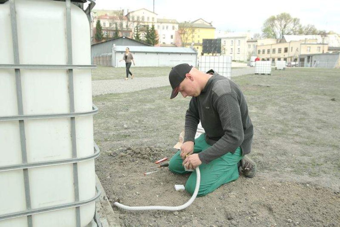 Lato w Browarze: Koncerty, festiwale, seanse filmowe. Program imprez