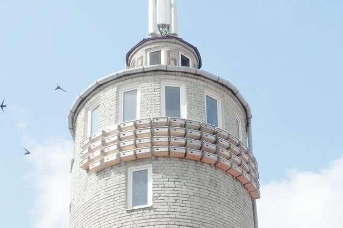 Łęczna: Jerzyki u strażaków