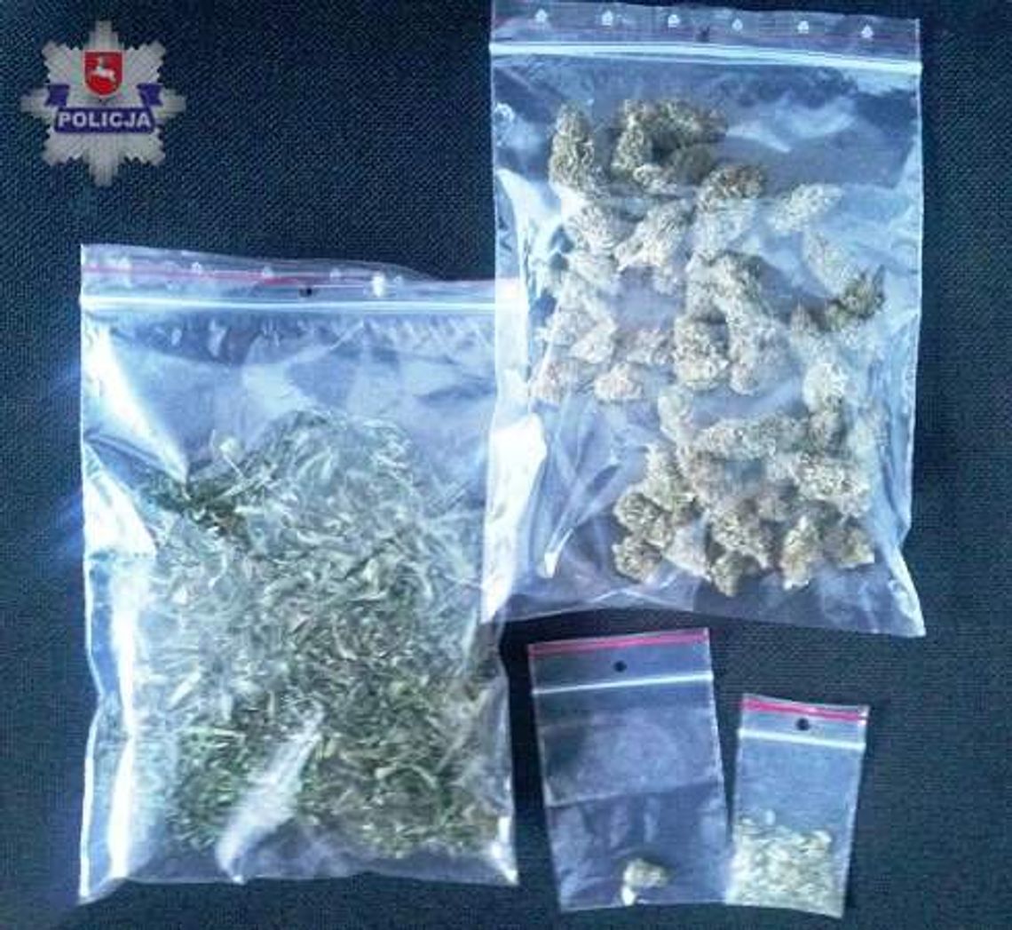 Łęczna: Miał w domu 40 gramów marihuany Łęczna: Miał w domu 40 gramów marihuany