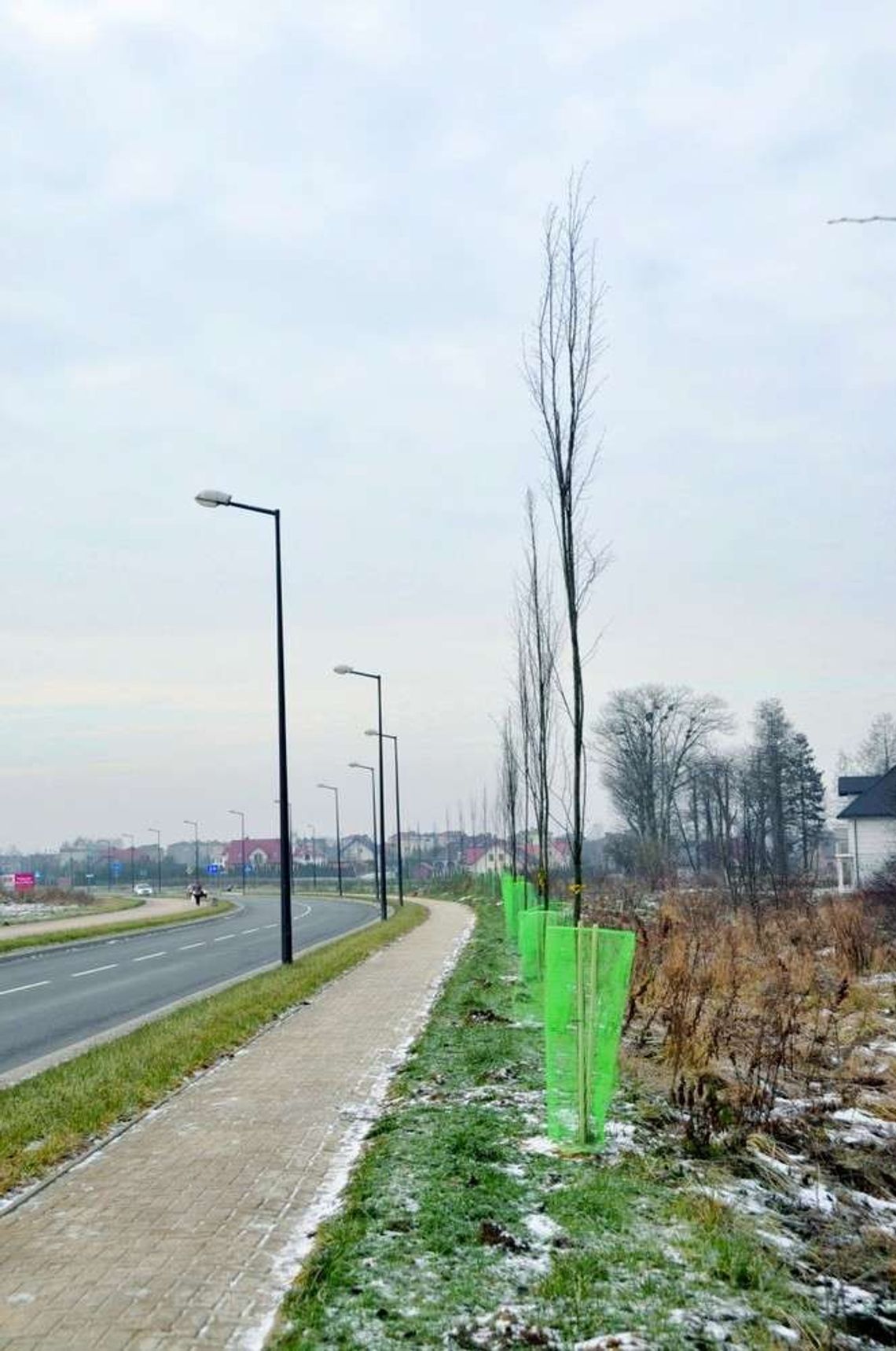 Łęczna: Miasto będzie zielone