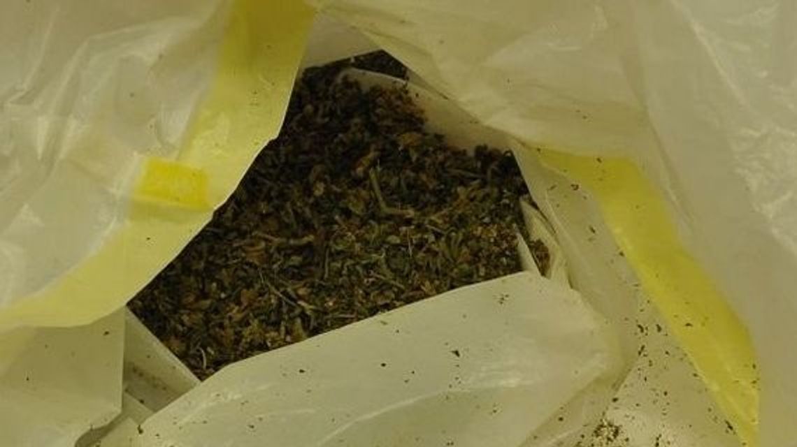 Łęczna: Niespodzianka w lodówce Łęczna: Niespodzianka w lodówce