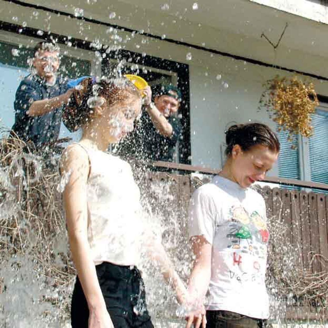 Lejus w ogrodzie i na ulicy Lejus w ogrodzie i na ulicy