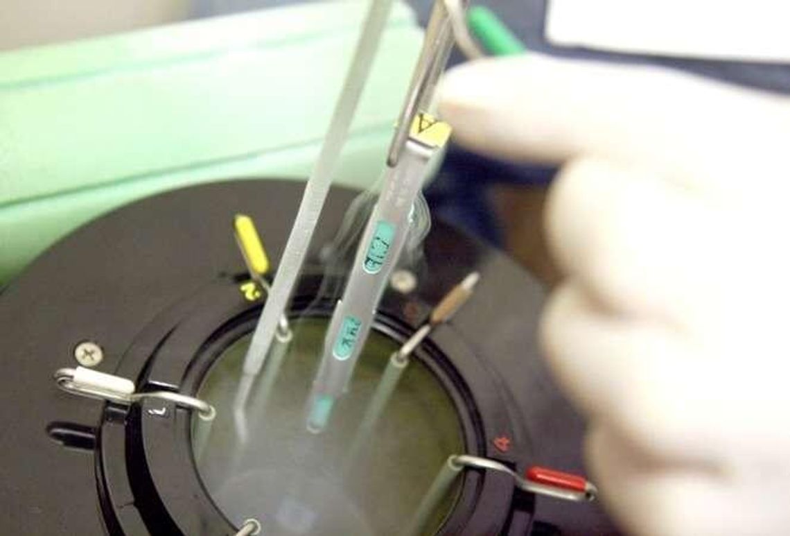 Lekarz z Lublina: Zainteresowanie programem in vitro jest bardzo duże