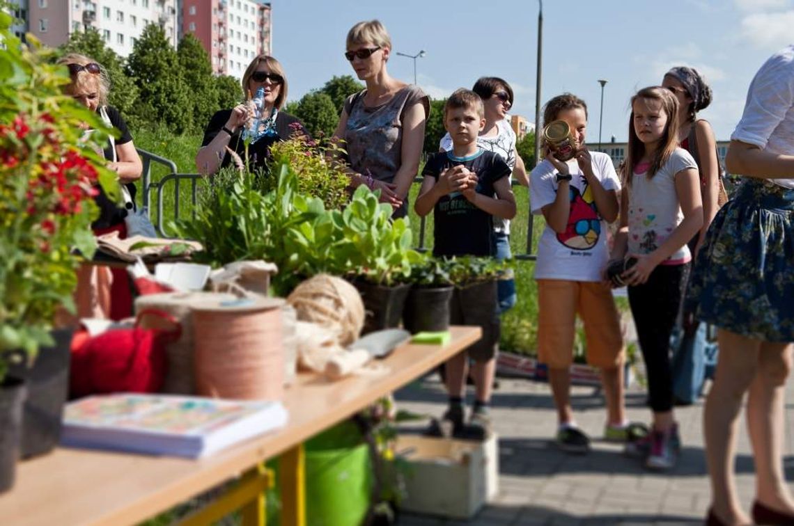 Lekcje sztuki: Zasadź, podlej, podaruj!