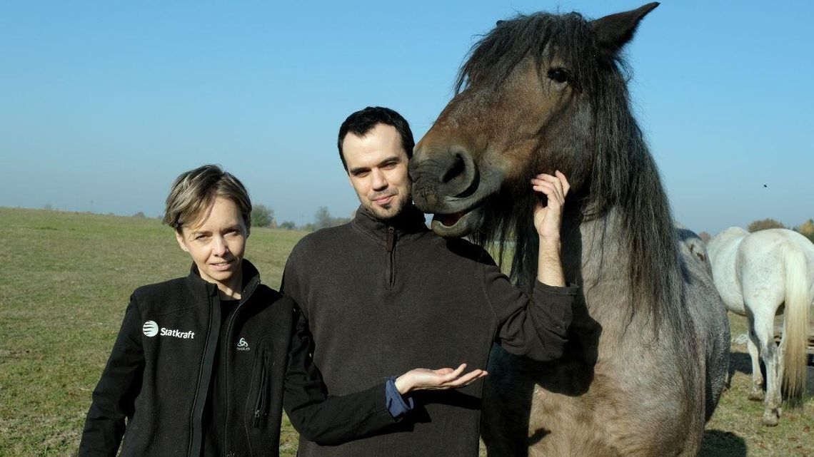 Leśne Pogotowie. Tak ratują zwierzęta Leśne Pogotowie. Tak ratują zwierzęta