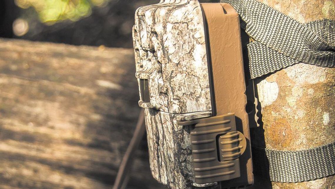 Leśnicy zastawiają w lubelskich lasach takie pułapki. Bo nadchodzi gorący okres