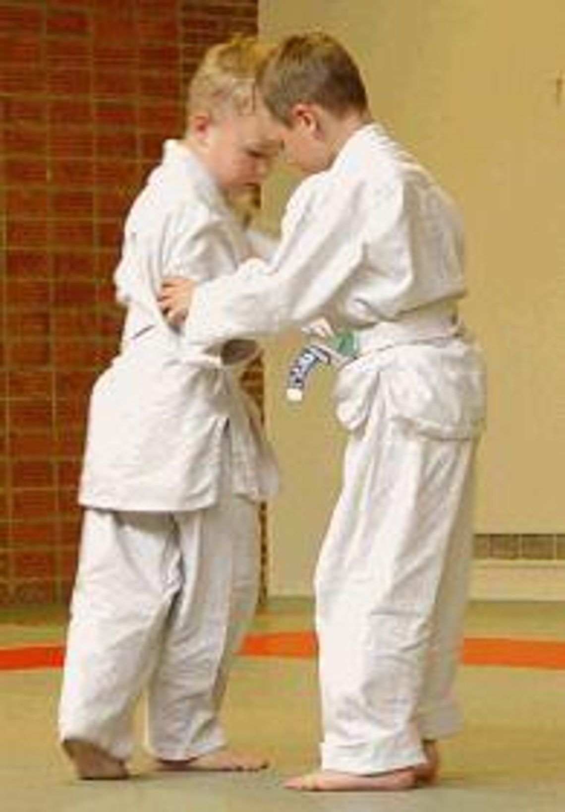 Letnia Akademia Judo Letnia Akademia Judo