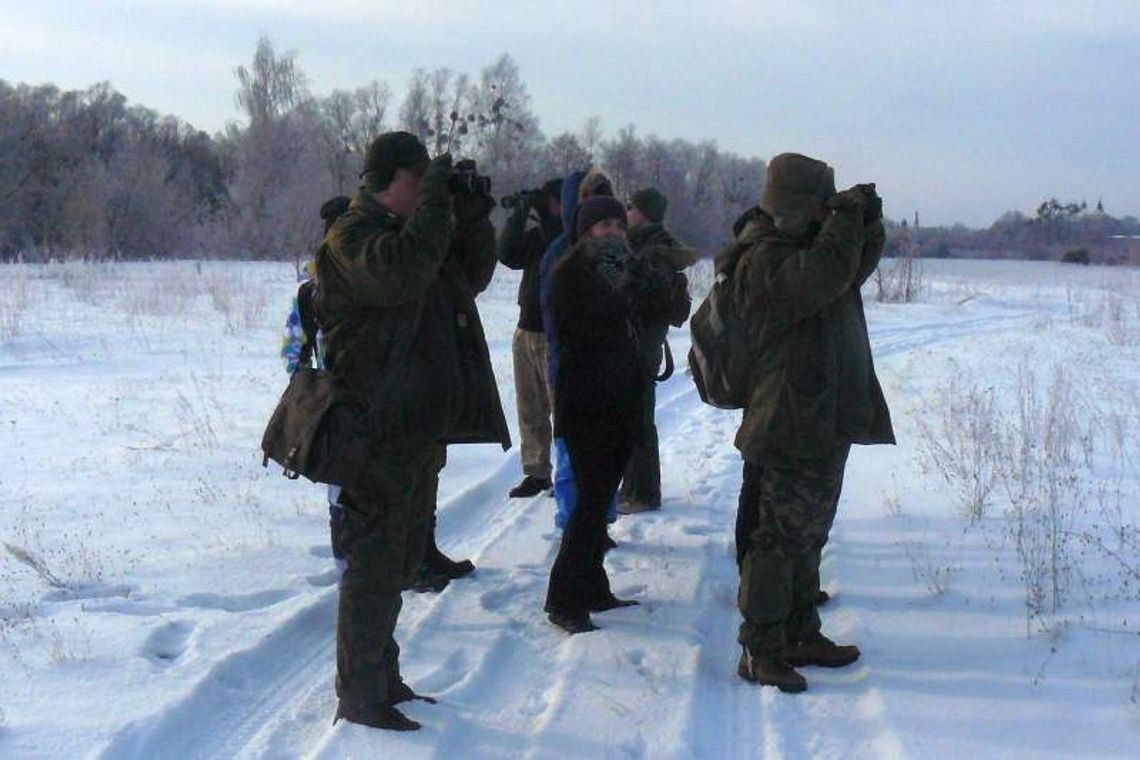 Liczą ptaki w regionie. Co kwiczoł robi w głogu?