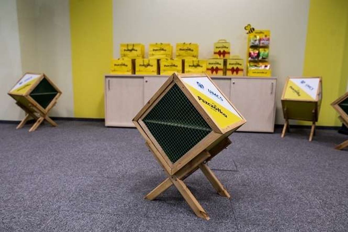 Liczba tych owadów zmniejsza się z roku na rok. Stworzą im "miejsca do pracy"