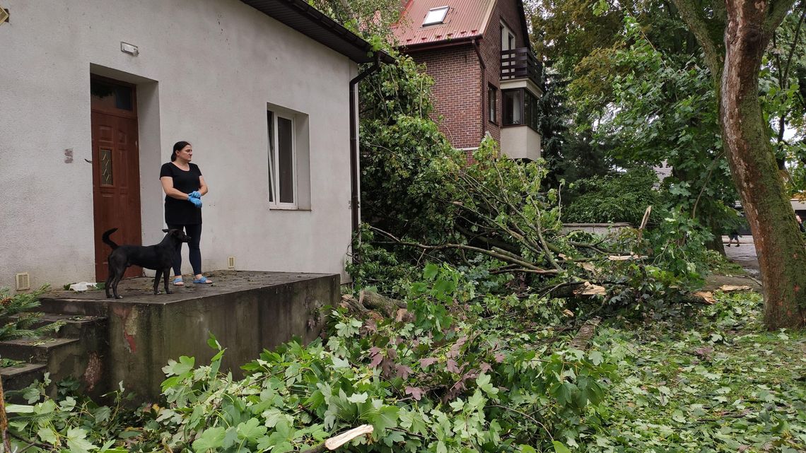 Liczenie strat po nawałnicy nad Lublinem. Zdemolowany Ogród Saski, "ogromne spustoszenie" w zieleni