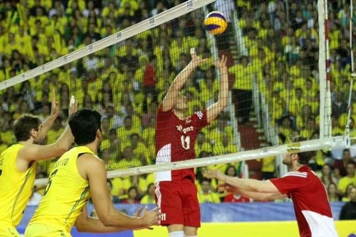 Liga Światowa. Gdzie oglądać? Transmisje na żywo w TV i Internecie