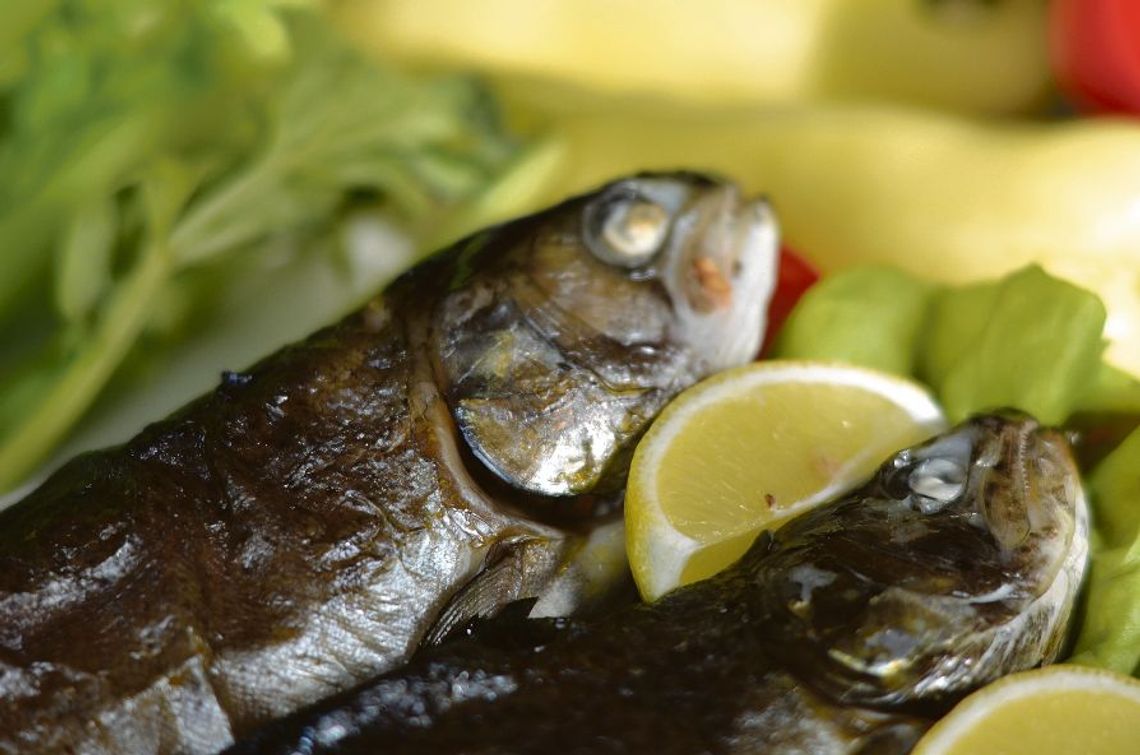 Lin czy sielawa. Lubelskie przypomina, że Polska była rybną potęgą kulinarną