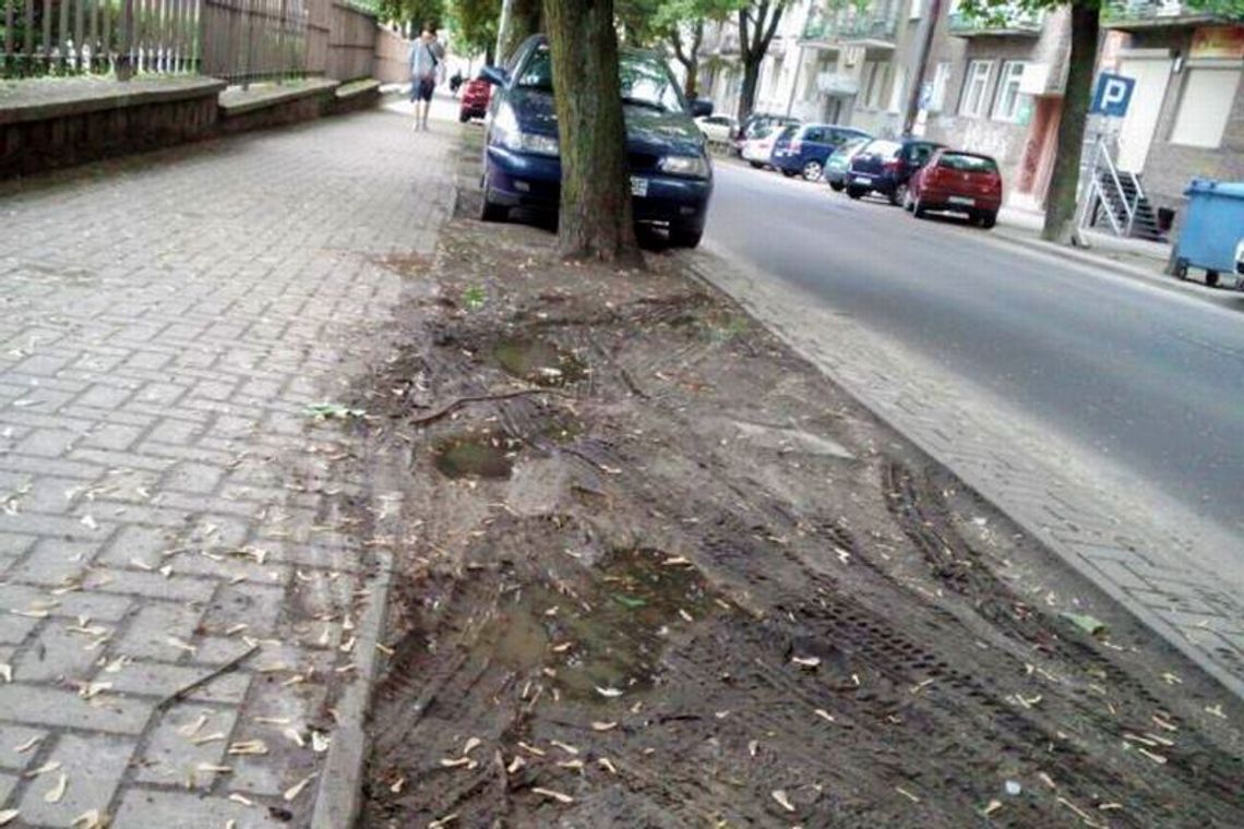 List: Kierowcy rozjeżdżają trawniki, postawmy słupki (zdjęcia)