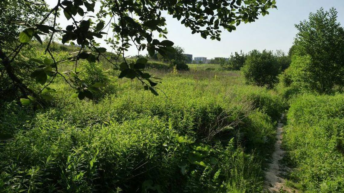 List otwarty do Krzysztofa Żuka. Górki czechowskie – czas odpuścić 