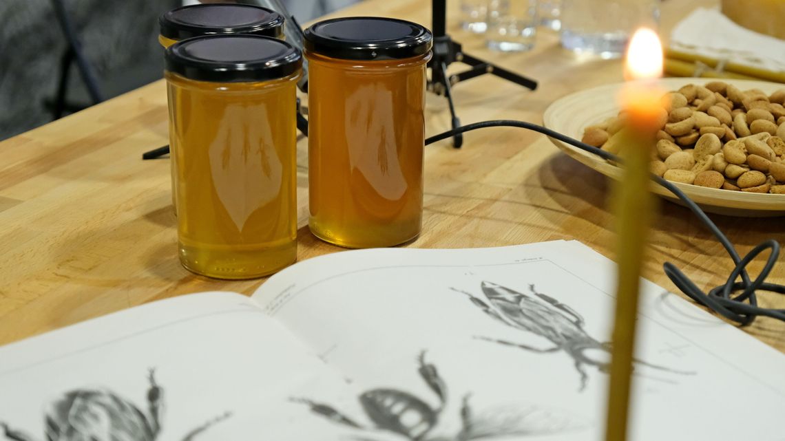 Listopad miesiącem miodowym w Lublinie