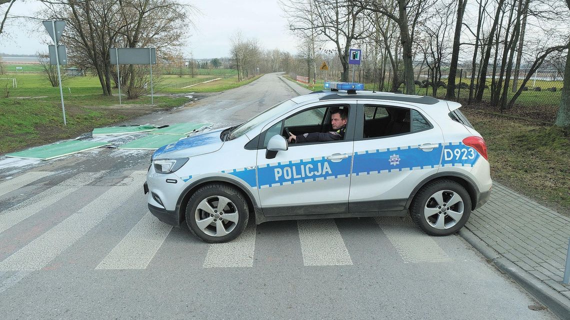 Lisy z hodowli nakarmiono padłymi indykami. Tak ptasia grypa dotarła w kolejne miejsce w Lubelskiem Lisy z hodowli nakarmiono padłymi indykami. Tak ptasia grypa dotarła w kolejne miejsce w Lubelskiem