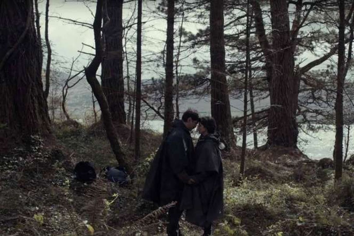 „Lobster” reż. Giorgos Lanthimos (recenzja)