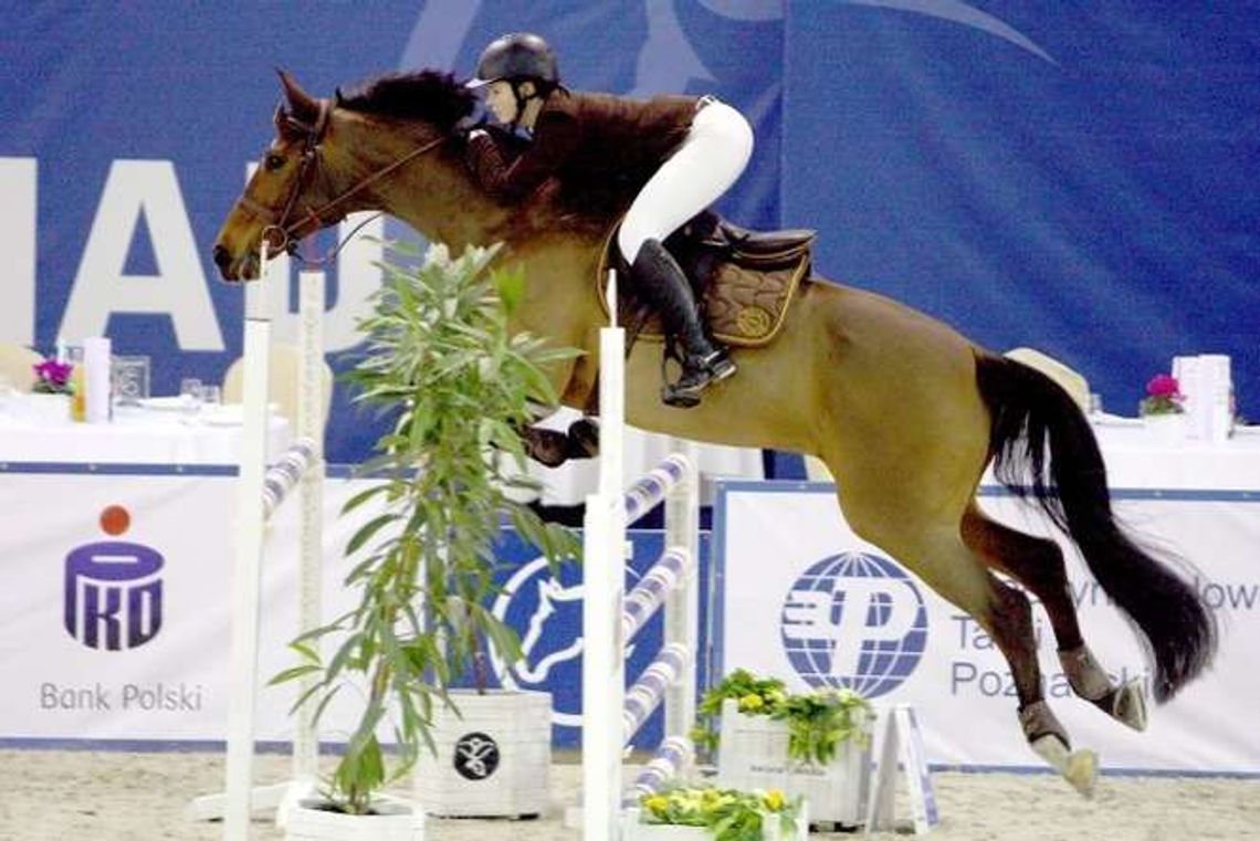 Logistyka dla koni, czyli luzak i ochraniacze magnetyczne