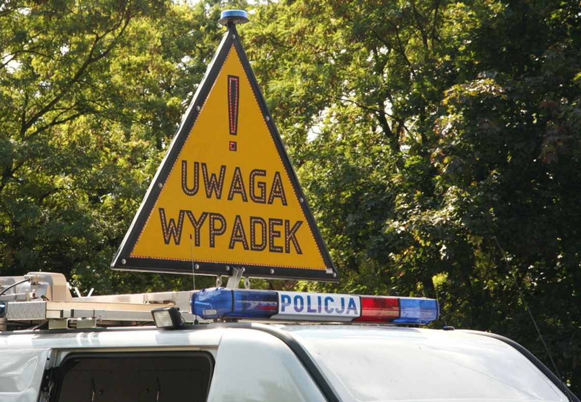 Łopiennik Nadrzeczny: Samochód potrącił pieszą. Zginęła na miejscu