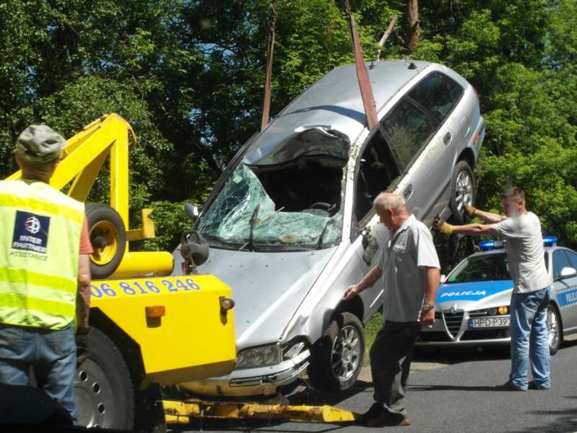 Łoś wbiegł pod koła. Kierowca nie żyje
