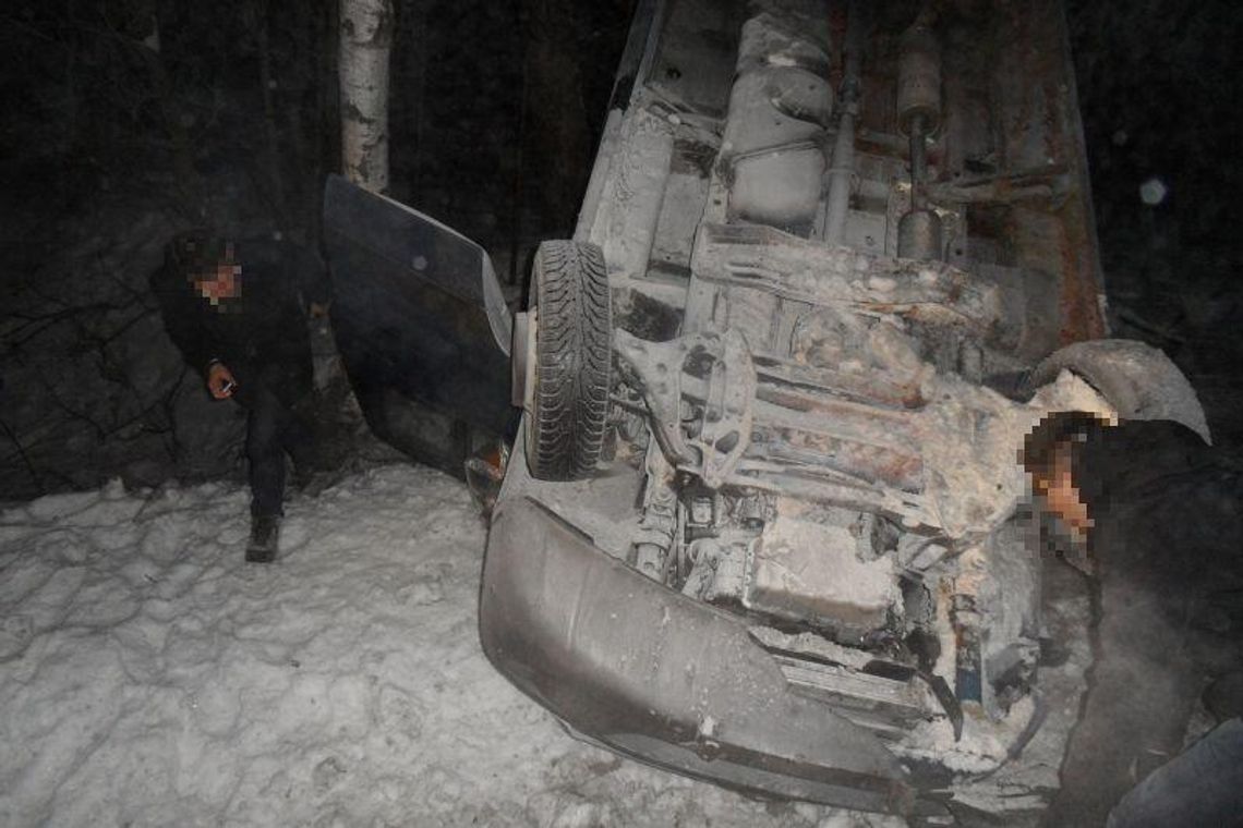 Łoś wbiegł pod koła. Samochód wpadł do rowu