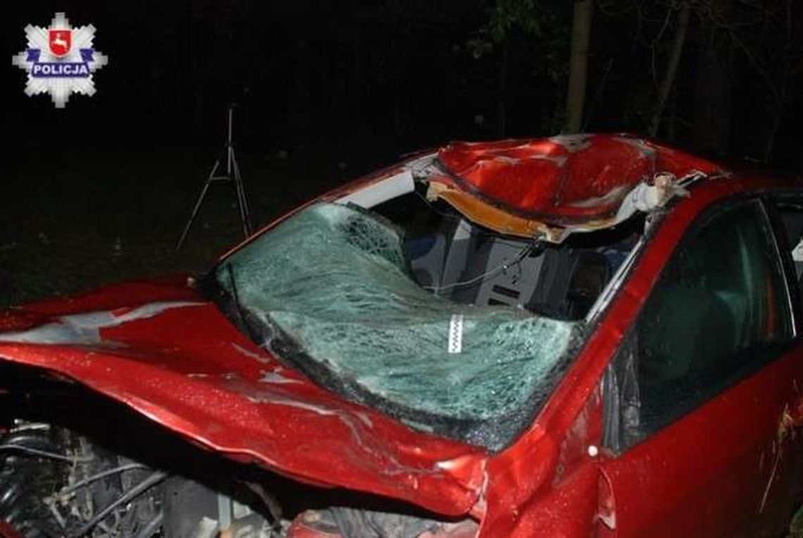 Łoś wbiegł pod koła. Samochód zderzył się z nim, a potem wpadł na drzewo