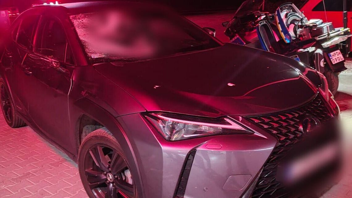 Łoś wpadł pod koła lexusa. Kolejne kolizje z udziałem dzikich zwierząt