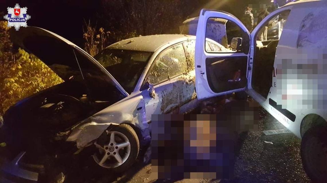 Łoś wtargnął na drogę i spowodował wypadek. Dwie ranne osoby trafiły do szpitala