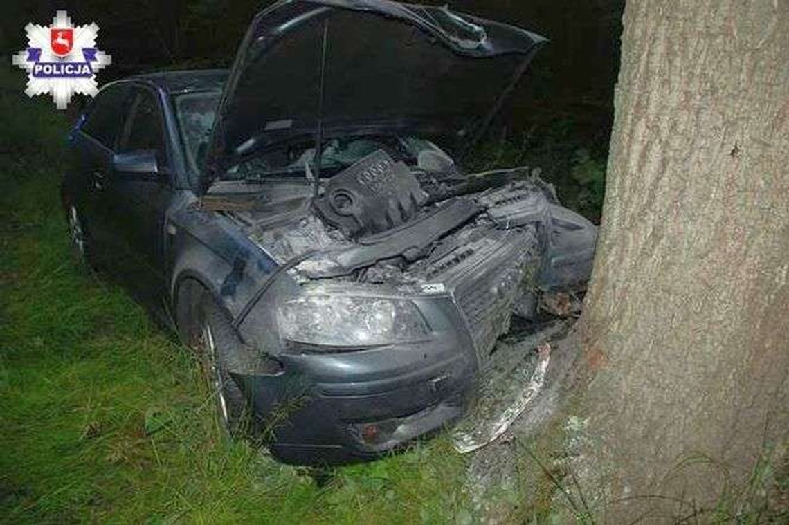 Łoś wybiegł nagle na drogę. Kierowca ratował się zjeżdżając do rowu Łoś wybiegł nagle na drogę. Kierowca ratował się zjeżdżając do rowu