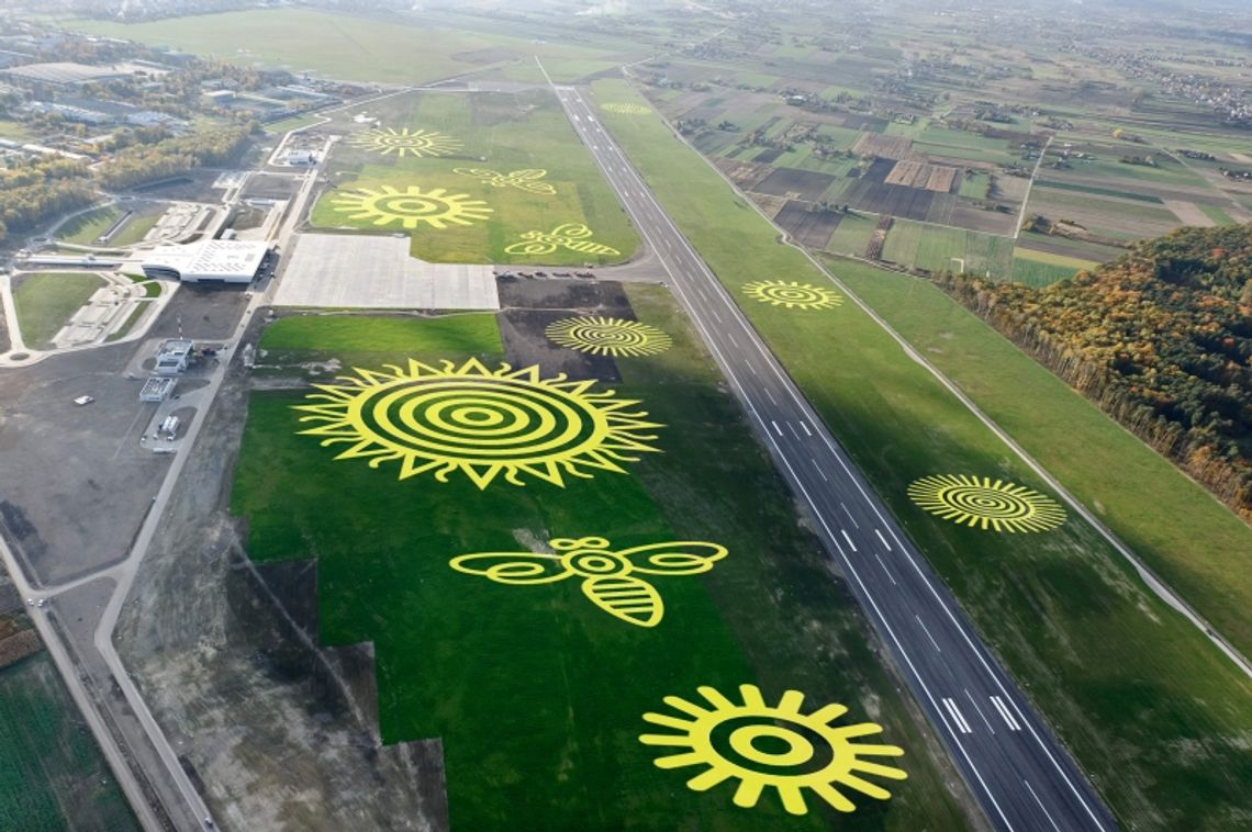 Lotnisko Lublin. Pszczoły Koziary przywitają samoloty