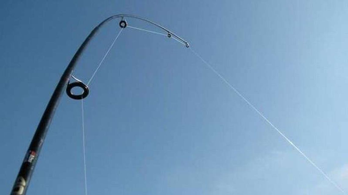 Łowili karpie w parku miejskim. Zauważyli ich strażnicy Łowili karpie w parku miejskim. Zauważyli ich strażnicy