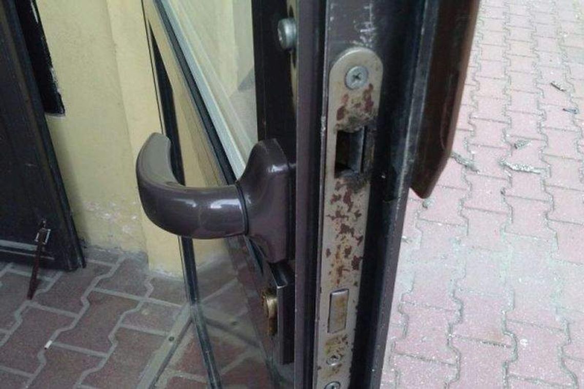 LSM: Zróbcie coś z tymi pluskwami! Mieszkańcy mają kłopot