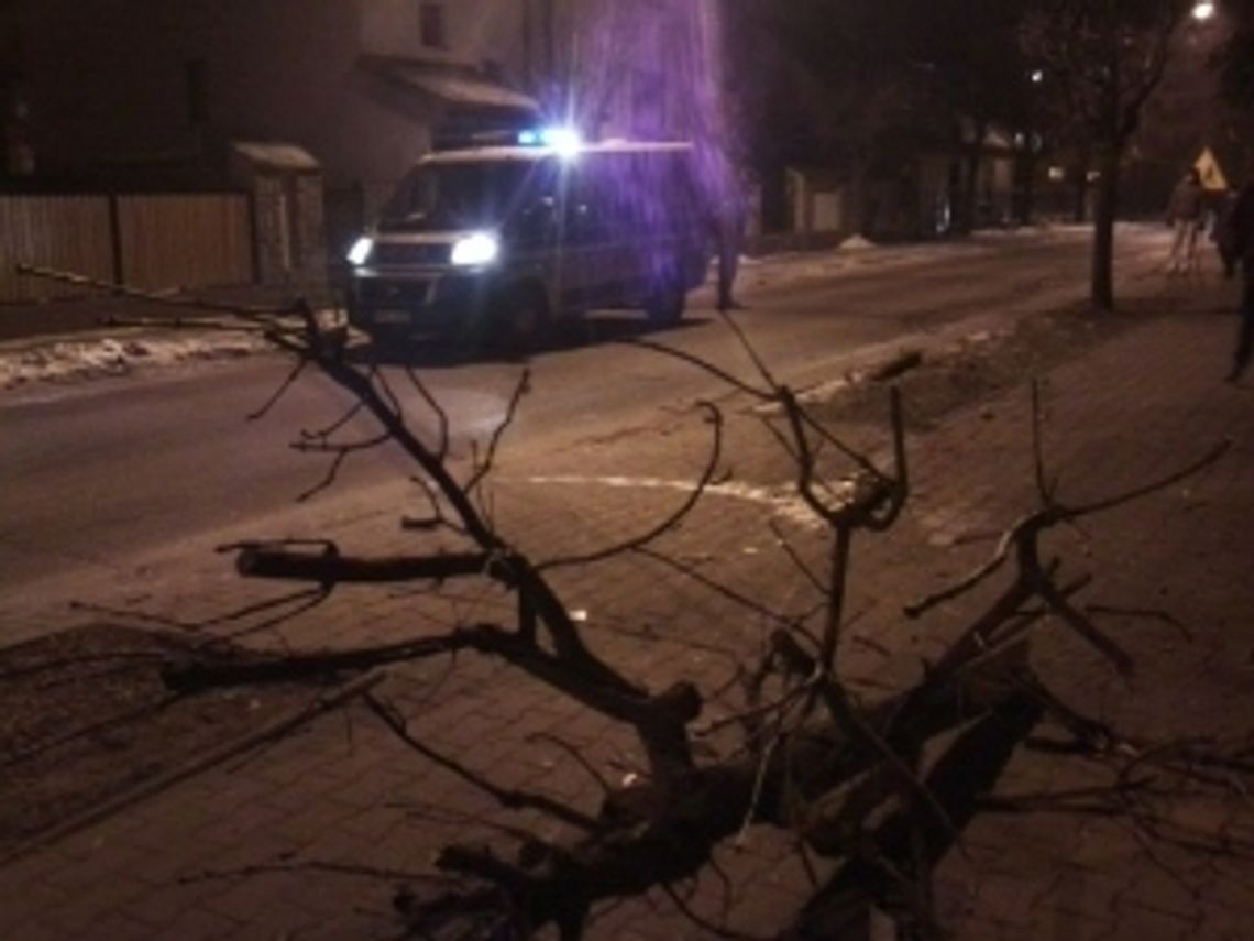 Lubartów: Audi wjechało w drzewo, kierowca chciał uciec