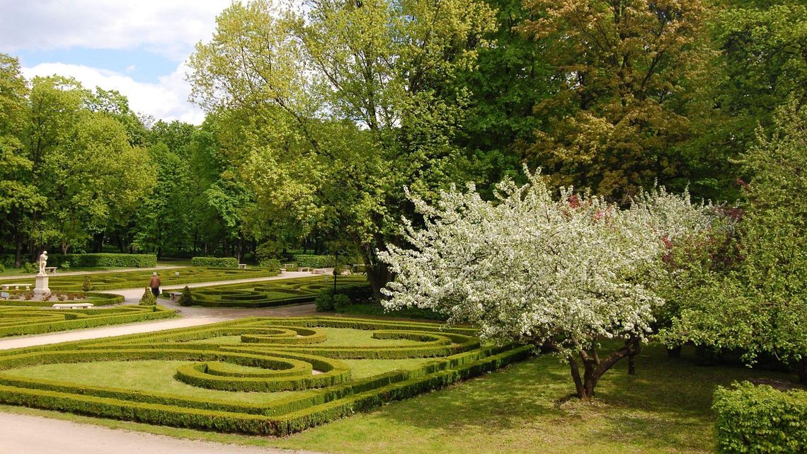 Lubartów: Będą odnawiać park. Chcą przy okazji "ograniczyć problem związany z bytowaniem ptaków"