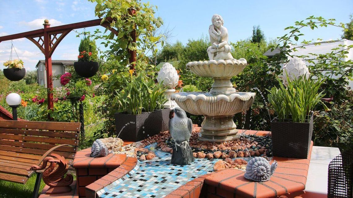 Lubelscy działkowcy dostaną pół miliona złotych. Najwięcej Młynarz Lubelscy działkowcy dostaną pół miliona złotych. Najwięcej Młynarz