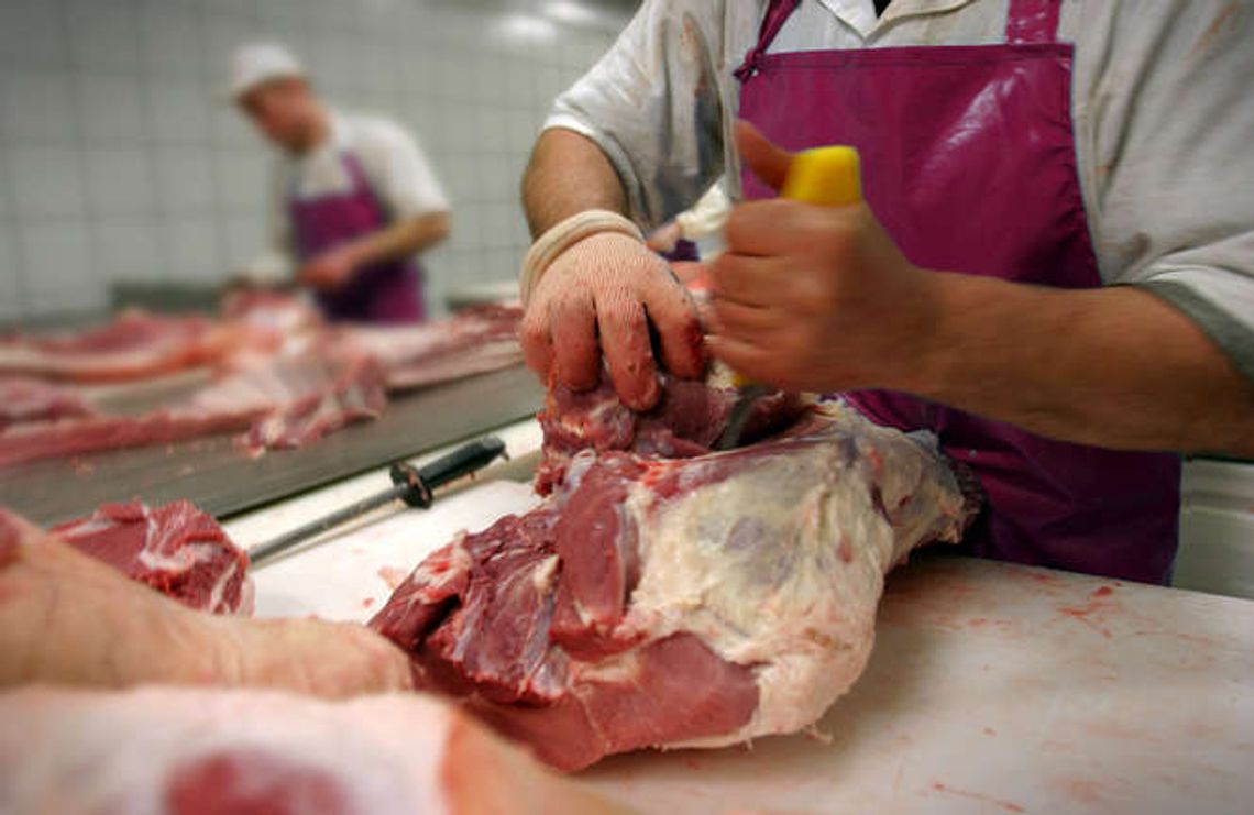 Lubelscy eksporterzy żywności do UK komentują Brexit. Co to dla nich oznacza? Lubelscy eksporterzy żywności do UK komentują Brexit. Co to dla nich oznacza?