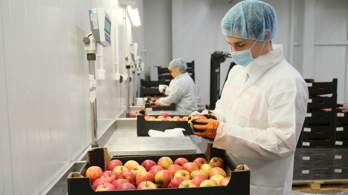 Lubelska firma wprowadza nową markę. Wszystkie owoce i warzywa pakuje w folię
