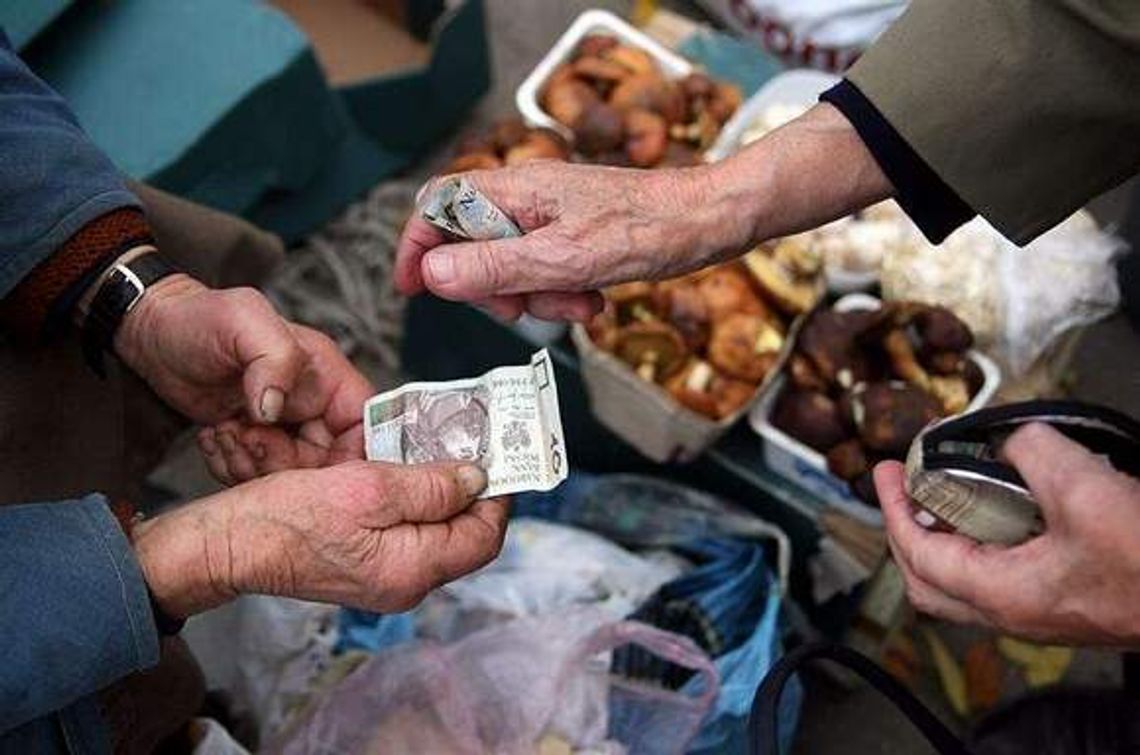Lubelska Lista Płac. Gdzie można zarobić najwięcej?