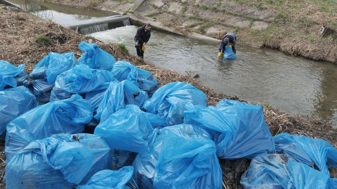 "Lubelska rafa butelkowa" znika. Wielkie sprzątanie Czerniejówki po naszej interwencji [zdjęcia]